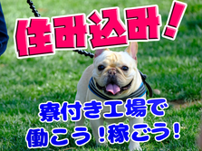 【時給1300円】未経験OK!【寮費無料】ビン検査&梱包【日勤or夜勤選択可】の詳細画像