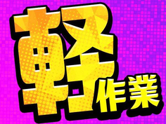 【未経験OK】土日祝休み!残業少なめ!働きやすいクリーンルーム内作業の詳細画像